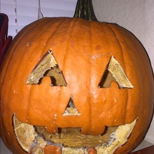 Meet your Posher, Dandre